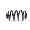 Bmw X3 E83 Galinė Statinės Spyruoklė Originalus 33533413080