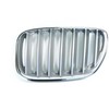Bmw X5 E53 Priekinis Ziergitter Kairysis Originalus 51138250051