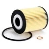 BOSCH alyvos filtras F026407071 93745425