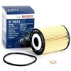 BOSCH alyvos filtras F026407071 93745425