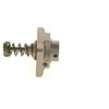 BOSCH cilindrų galvutė F01M101781