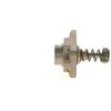 BOSCH cilindrų galvutė F01M101781