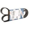 BOSCH diržas su V formos briaunomis 1987946293 06B903137E