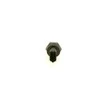 BOSCH jutiklis 0281006119 07M919561
