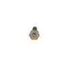 BOSCH jutiklis 0281006119 07M919561