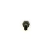 BOSCH jutiklis 0281006119 07M919561