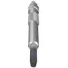 BOSCH kaitinimo žvakė 0250202048 N10140104