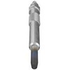 BOSCH kaitinimo žvakė 0250202048 N10140104