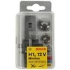 BOSCH lempučių asortimentas 1987301102 01V409057