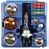 BOSCH lempučių asortimentas 1987301113