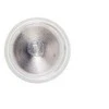 BOSCH lemputė 1987301014 1987302210