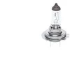 BOSCH lemputė 1987302091 64180L