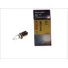 BOSCH lemputė 1987302231 ZF259010069