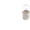 BOSCH lemputė 1987302510 01V409057