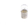 BOSCH lemputė 1987302510 01V409057