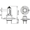 BOSCH lemputė, priekinis žibintas 1987301042 01V409057