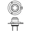 BOSCH lemputė, priekinis žibintas 1987301042 01V409057