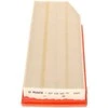 BOSCH oro filtras 1457433065 A1120940104