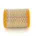 BOSCH oro filtras 1457433227 01V409057