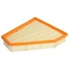 BOSCH oro filtras F026400030 13717542294