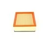 BOSCH oro filtras F026400120 165469466R