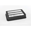 BOSCH oro filtras F026400200 6000608369