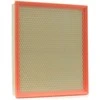 BOSCH oro filtras F026400217 8200399214