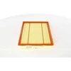 BOSCH oro filtras F026400381 13717548888