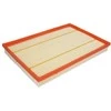 BOSCH oro filtras F026400381 13717548888