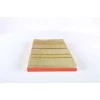 BOSCH oro filtras F026400429 A6290940104