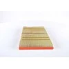 BOSCH oro filtras F026400429 A6290940104