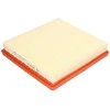 BOSCH oro filtras F026400581 A1011