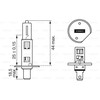 BOSCH priekinių žibintų lemputė 1987302411 OENN072601024270