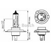 BOSCH priekinių žibintų lemputė 1987302441 OEN964763