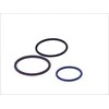 Bosch Remonto Rinkinys Scania R500 R560 R580 R620 Siurblio Ir Purkštuko Blokas