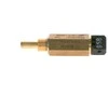 BOSCH temperatūros jungiklis, šaltojo paleidimo sistema F026T03101 13621274632