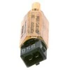 BOSCH temperatūros jungiklis, šaltojo paleidimo sistema F026T03101 13621274632