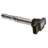 Bosch Uždegimo Ritė Audi A8 D2 D3 Bentley Continental GT Flying Spur GTC VW Passat Phaeton Touareg 4D2 4D8 4E2 4E8 3BG 3B3 3B6 3D1 3D2 3D3 3D4 3D6 3D7 3D8 3D9 7LA 7L6 7L7 059971021 059971021A 059971021B