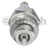 BOSCH uždegimo žvakė 0242215502 98073-54744