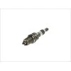 BOSCH uždegimo žvakė 0242229799 01V409057