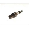 BOSCH uždegimo žvakė 0242229799 01V409057