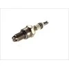 BOSCH uždegimo žvakė 0242235664 01V409057