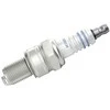 BOSCH uždegimo žvakė 0242245521 12121338146