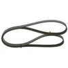 BOSCH V formos diržas 1987948491 038903137T