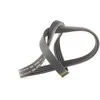 Bosch V Formos Diržas Renault Twingo II 1.2 1.2 16V CN04 CN0B CN0K CN0V CN0A 7700101240 7700101241