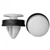 CARSO apdailos spaustukai FORD W716507S300 50vnt.