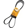 Contitech Briaunuotas diržas BMW E81 FIAT Barchetta FORD Scorpio Mk1 RENAULT 117206842R 4024820