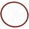 Elring Įsiurbimo kolektoriaus korpuso tarpiklis tinka BMW 3 E36 E46 5 E34 E39 7 E38 Z3 E36 13547504728 11611716174