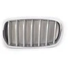 Genuine Priekinis Radiatorius Titano Inkstų Grotelės Kairė Tinka BMW X5 F15 2014-