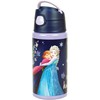 Disney Frozen aliuminio vandens butelis 500 ml